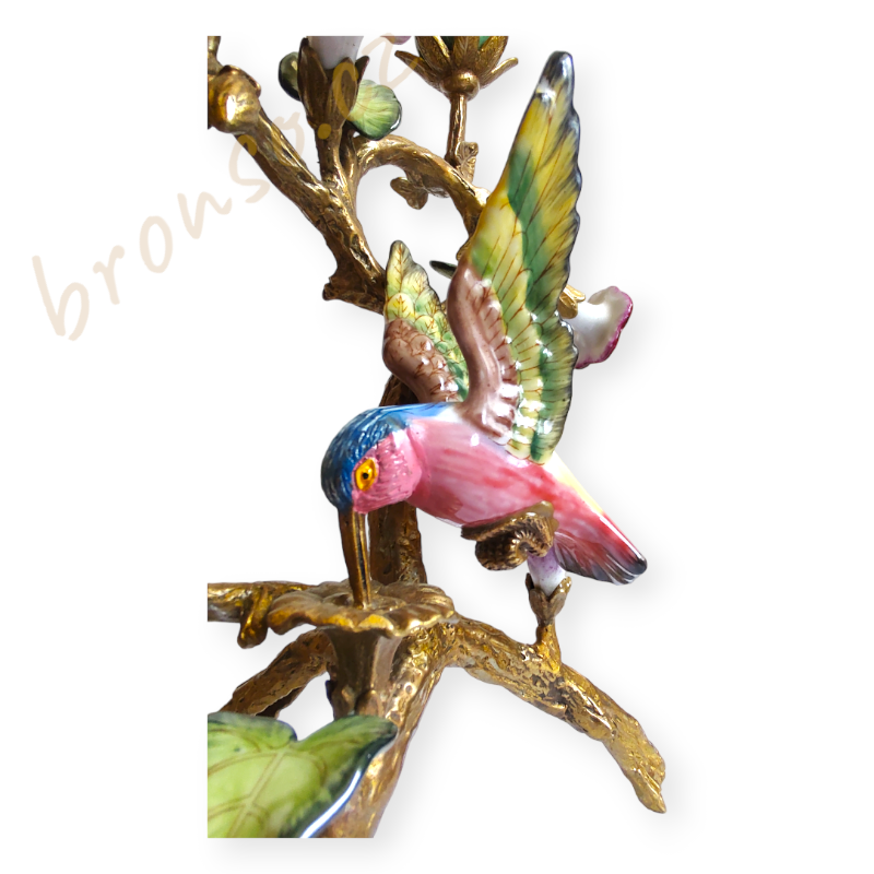 Svícen – kolibřík mezi tropickými květinami