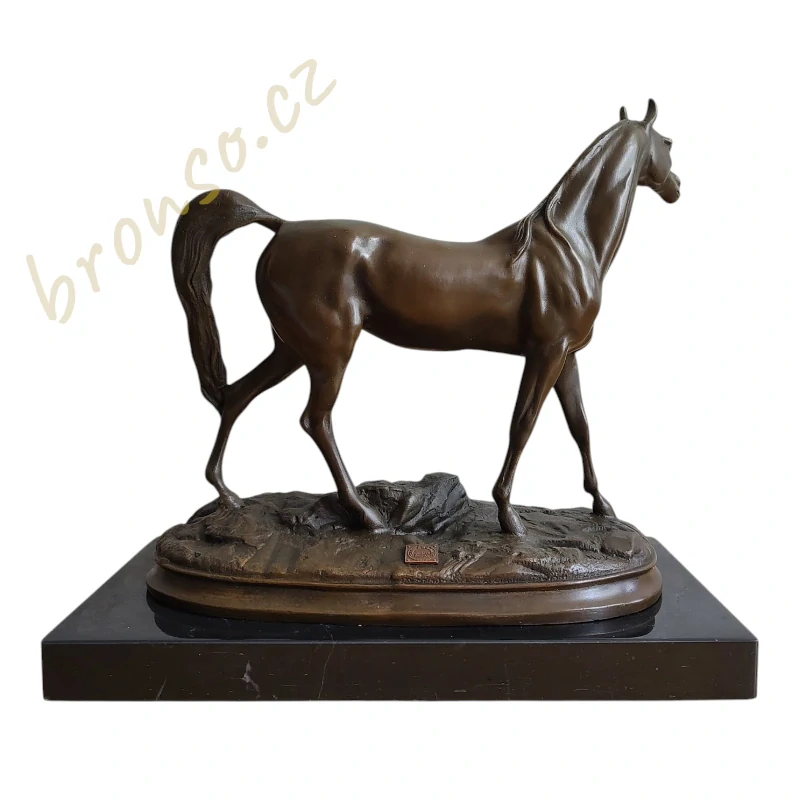 Kůň Ibrahim – elegantní bronzová socha arabského koně
