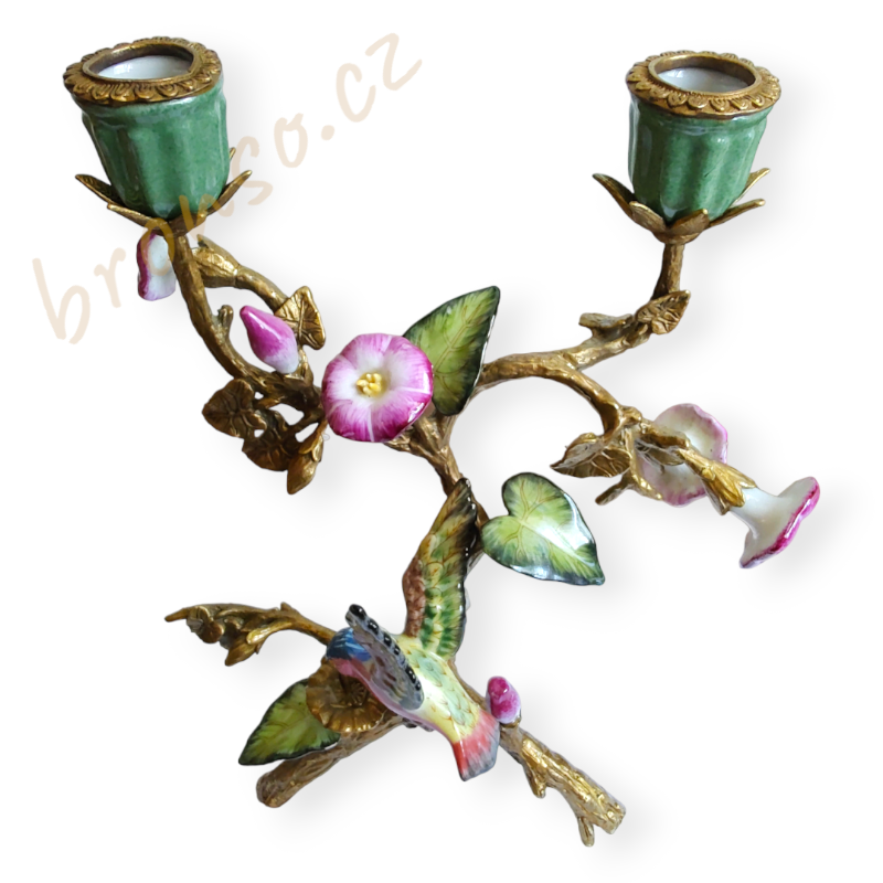 Svícen – kolibřík mezi tropickými květinami