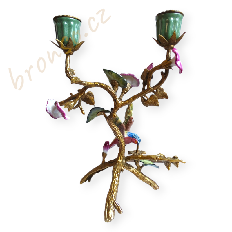 Svícen – kolibřík mezi tropickými květinami