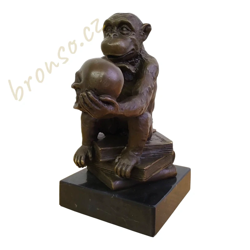 Opice myslitel – Darwin, bronzová socha, originální filozofická dekorace