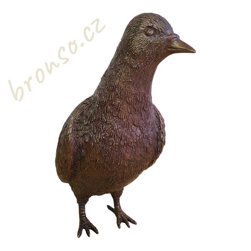 Bronzová socha holuba | Realistická dekorace do interiéru i exteriéru | Možnost pevného uchycení