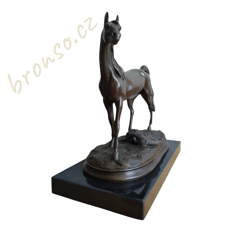 Kůň Ibrahim – elegantní bronzová socha arabského koně
