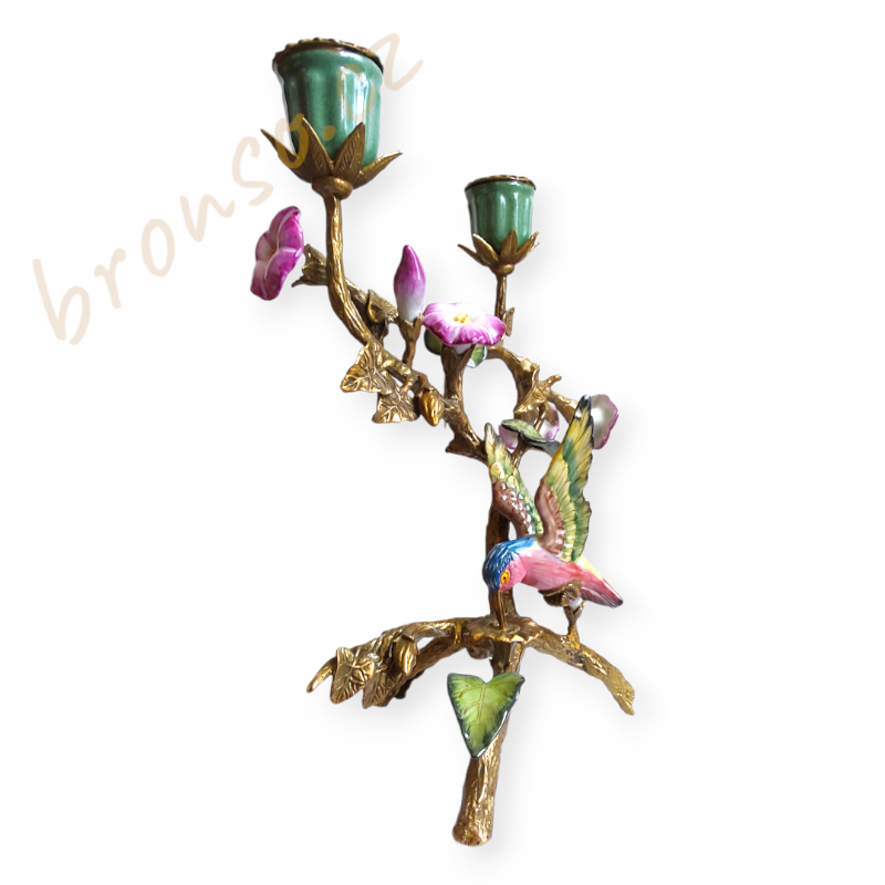 Svícen – kolibřík mezi tropickými květinami